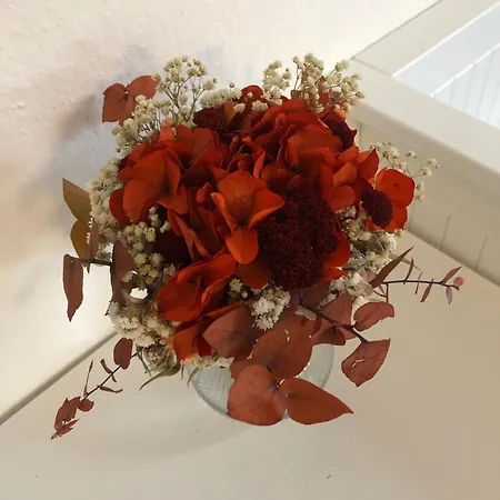 Nagelfluh Hues 布莱夏